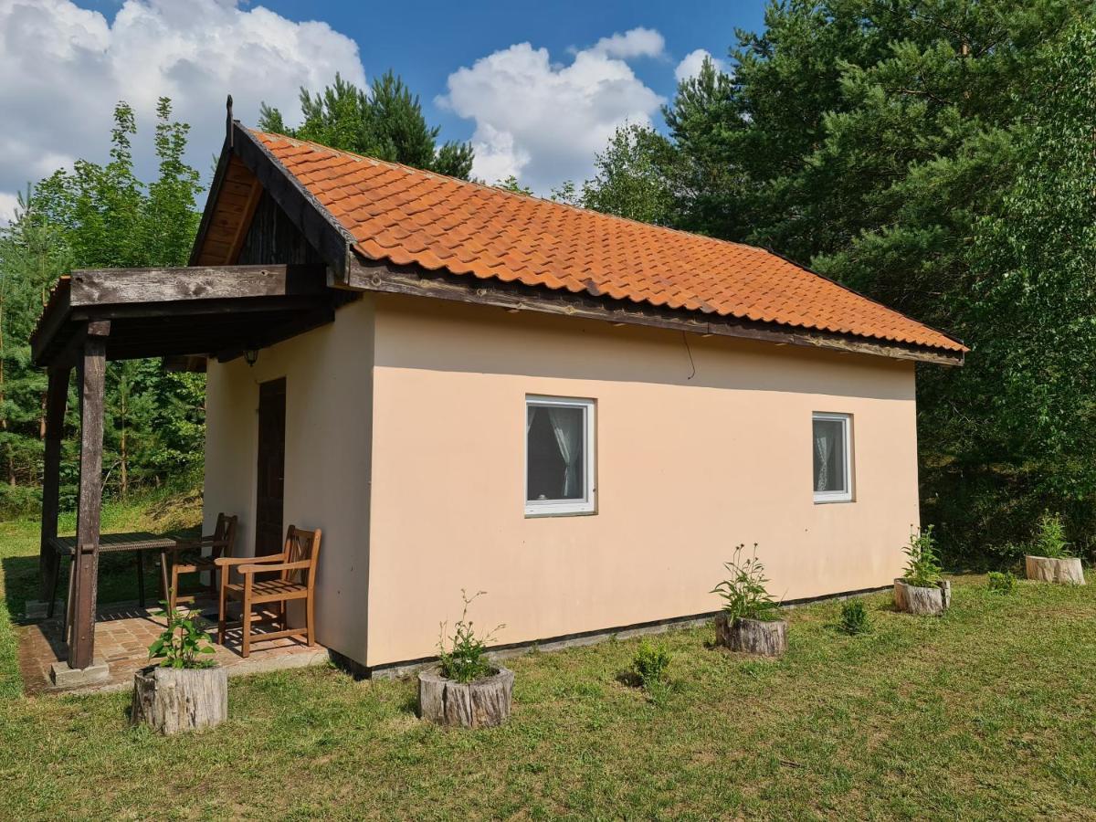 Swojski Gosciniec Prazmowo ภายนอก รูปภาพ