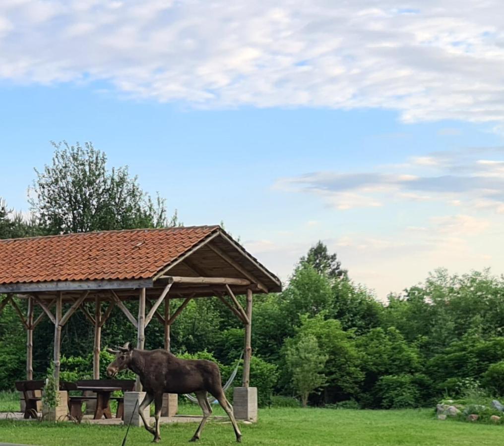 Swojski Gosciniec Prazmowo ภายนอก รูปภาพ